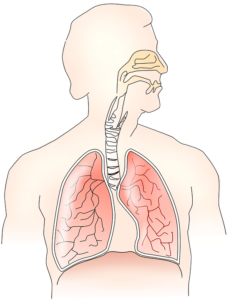 Легенева гіпертензія: причини, симптоми і лікування