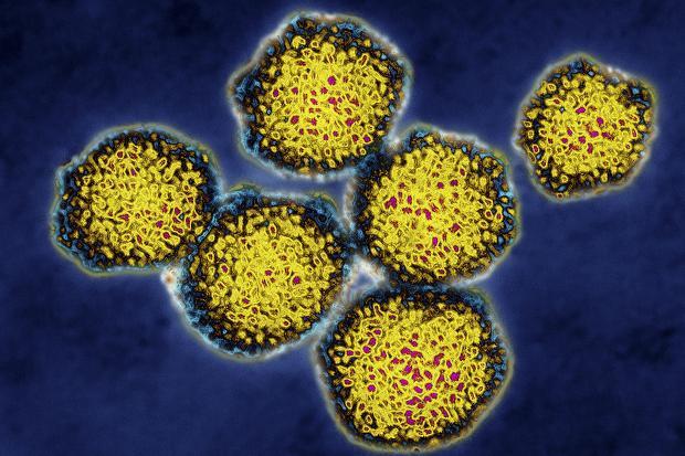 Гострий гепатит: що призводить до захворювання і як лікувати