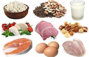Що відноситься до білкової їжі: список продуктів
