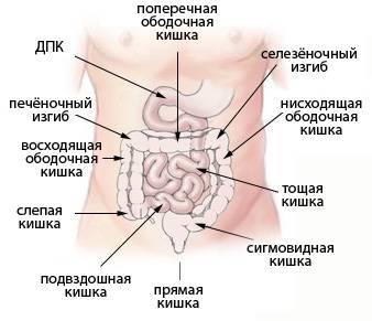 Спайкова хвороба черевної порожнини: симптоми і лікування (хірургія, дієта)