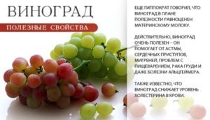 Виноград: калорійність, користь і шкода для організму, протипоказання, вживання при схудненні