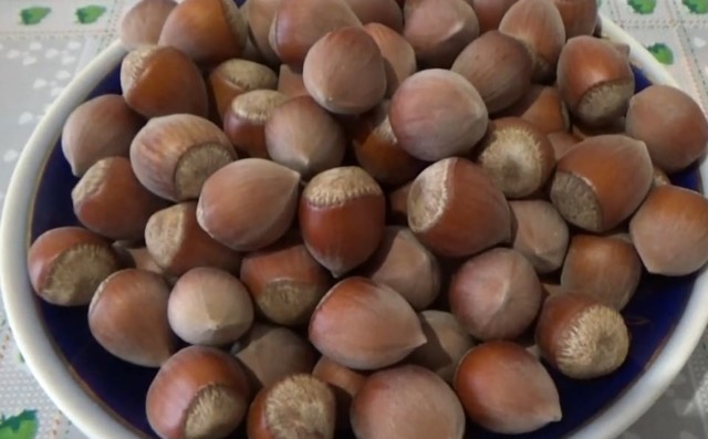 Фундук горіхи - користь і шкода для організму: властивості горіха для чоловіків