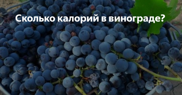 Виноград: калорійність, користь і шкода для організму, протипоказання, вживання при схудненні