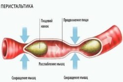 Гідроколоноскопія кишечника: суть, підготовка і проведення процедури