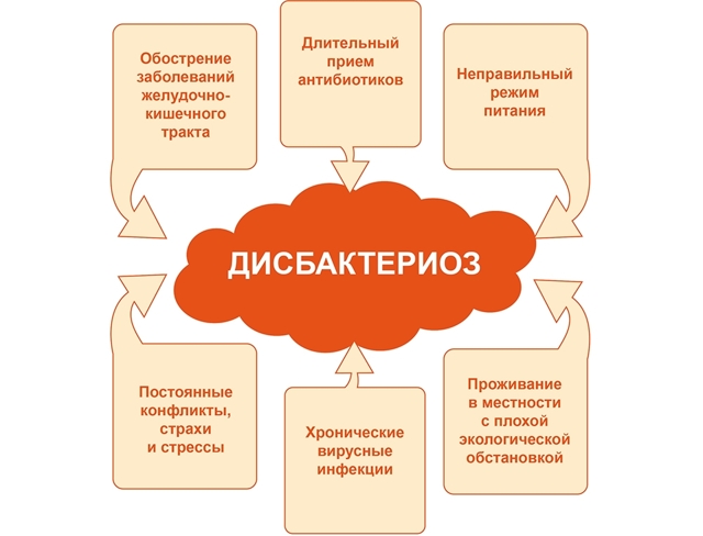 Відновлення мікрофлори кишечника після антибіотиків: препарати і харчування