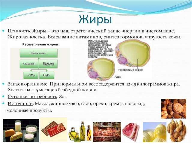 Рослинні жири: що це таке, список продуктів, в яких містяться