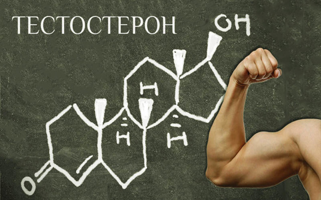 На що впливає тестостерон у чоловіків: дія на організм та характер