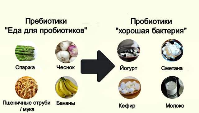 Сімбіотікі для кишечника: лакто-і біфідобактерії в одному препараті