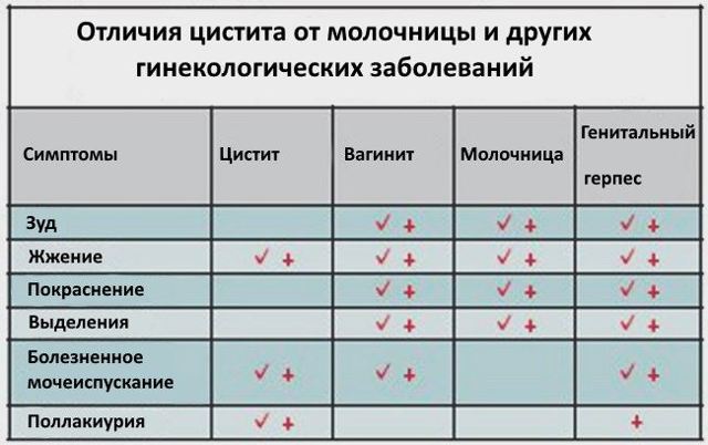 Якщо молочниці і цистит одночасно: способи лікування