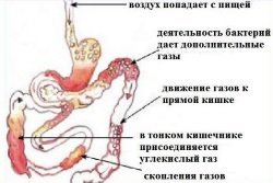 Гідроколоноскопія кишечника: суть, підготовка і проведення процедури