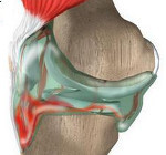 Гемартроз колінного суглоба: що це таке, причини, симптоми і лікування