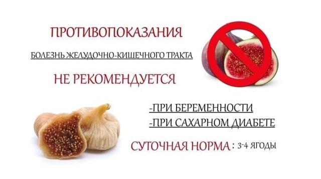 Інжир: калорійність, корисні властивості для організму і протипоказання