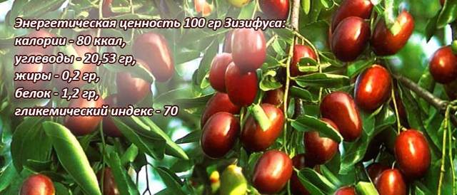 Унаби (зизифус): калорійність, корисні властивості і можливу шкоду, протипоказання