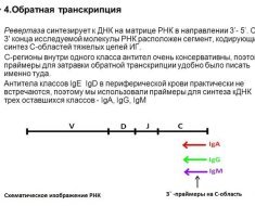 Що таке ПЛР аналіз - метод діагностики, як здавати на дослідження